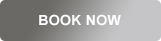 Book Now Button